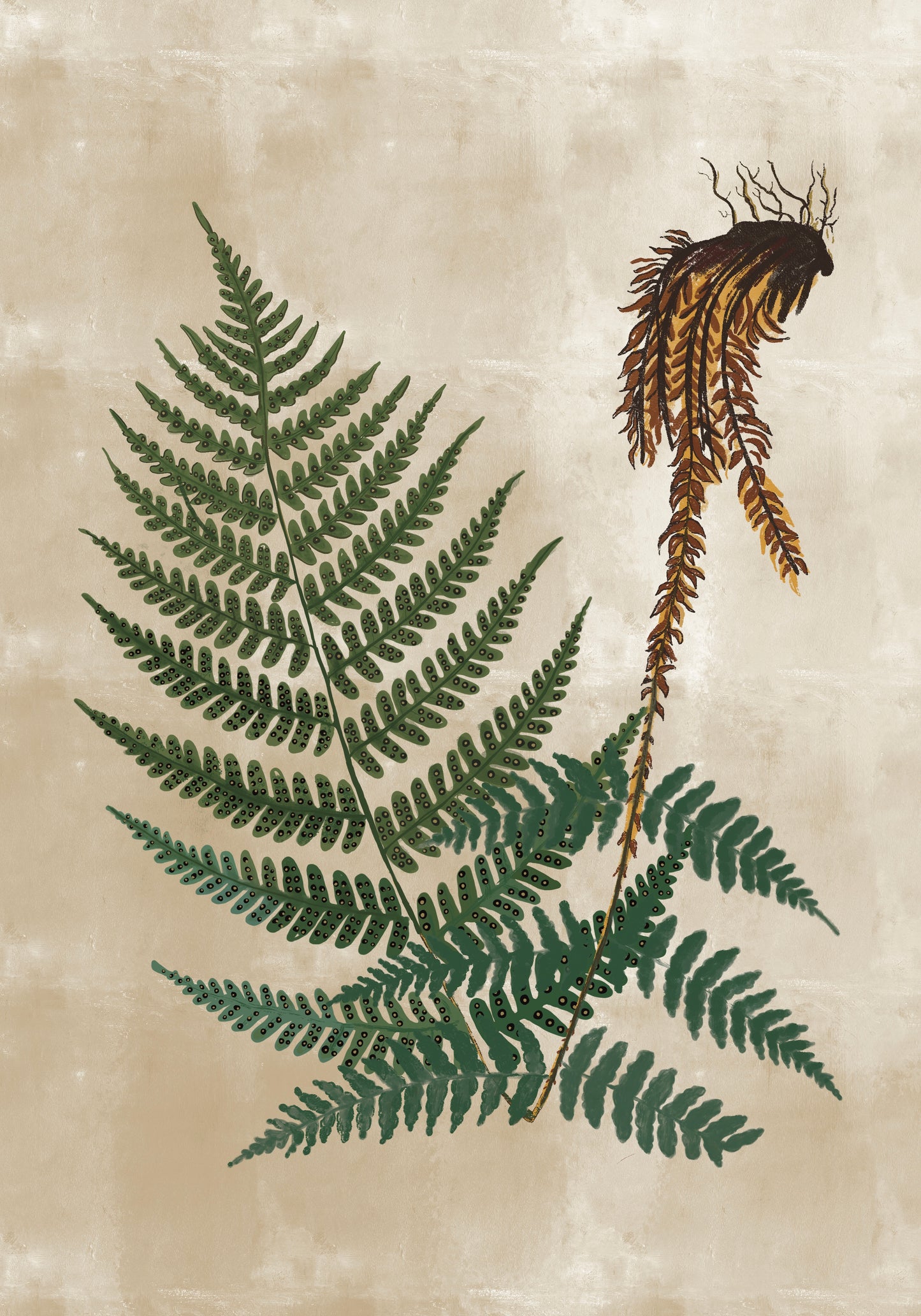 Radica Naturale