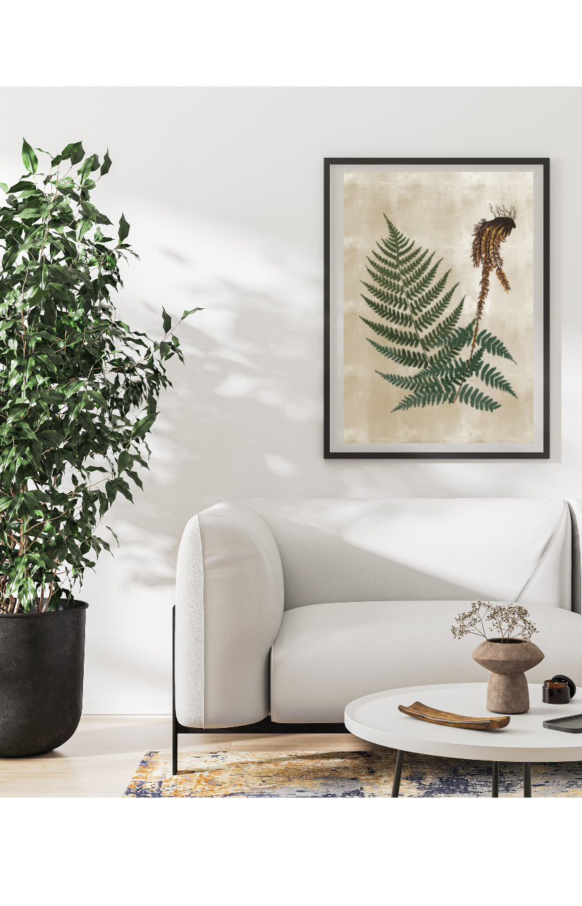 Radica Naturale